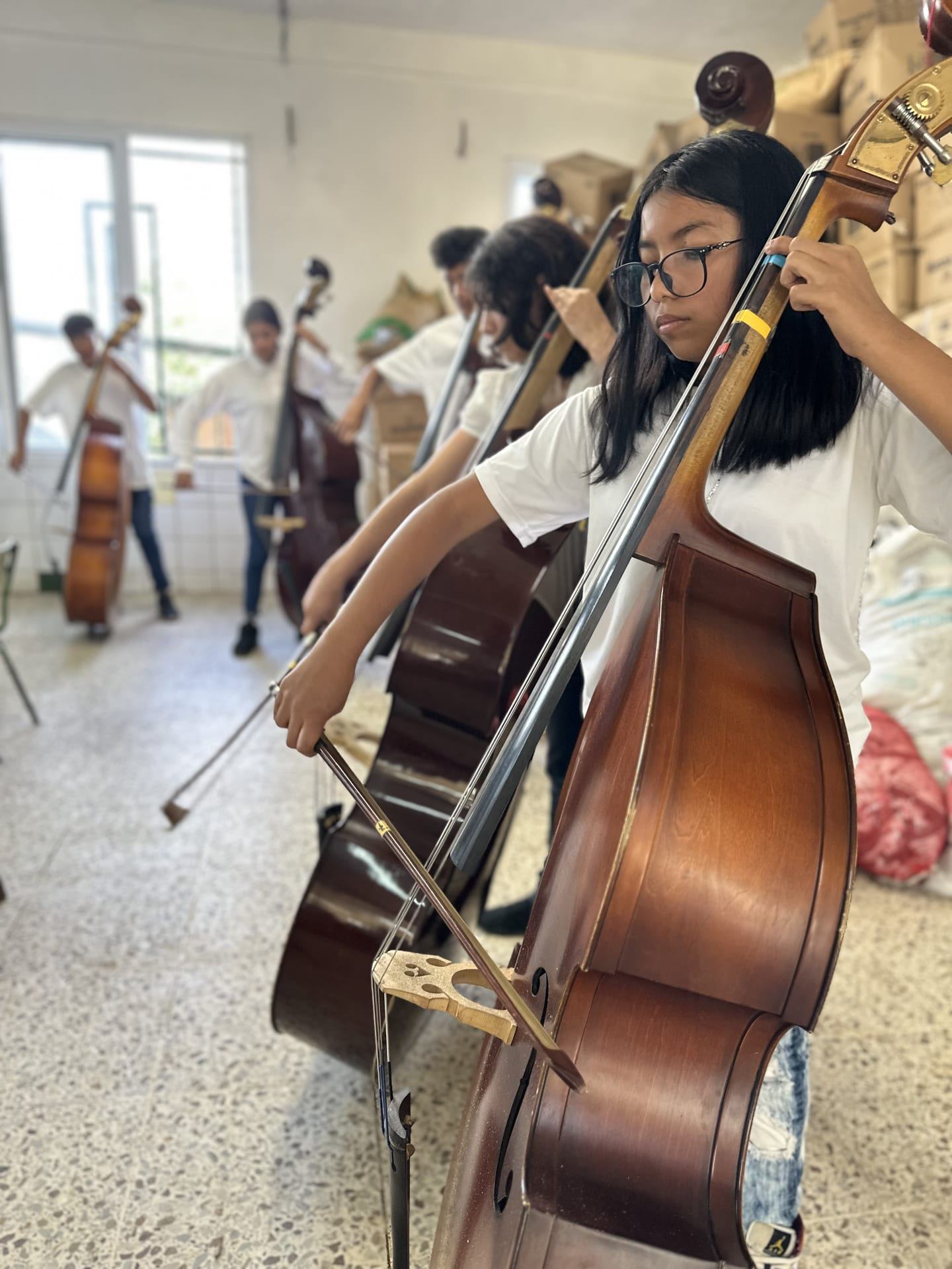 Una niña con lentes toca el contrabajo en un ensayo; detrás, otros alumnos con sus contrabajos
